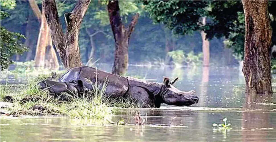 Kaziranga Hosts Awareness Program on Flood Safety for Wildlife and Humans