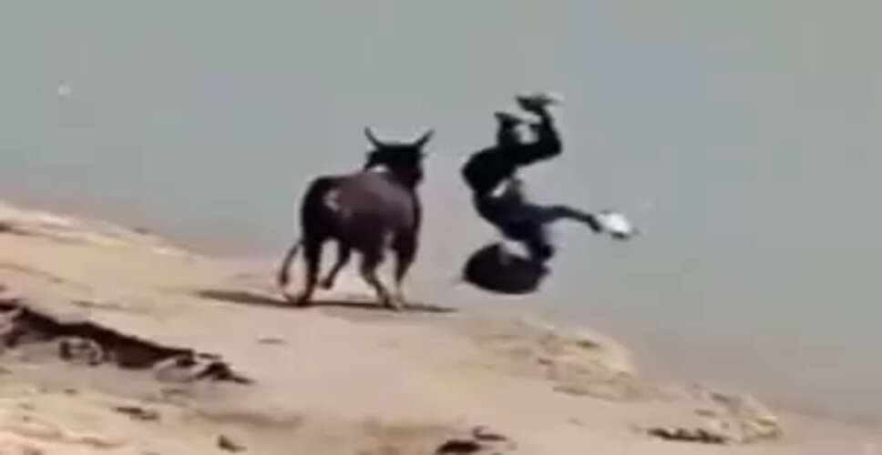 What Happens When Kindness Meets a Bull? Viral Video Shocks Viewers!