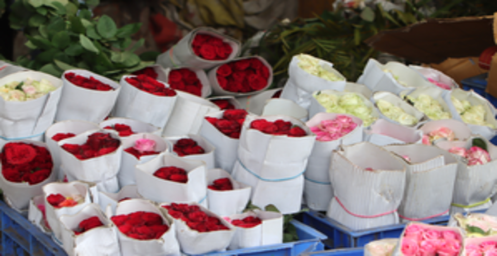 Nepal importing over 3 lakh roses from India for Valentine's Day