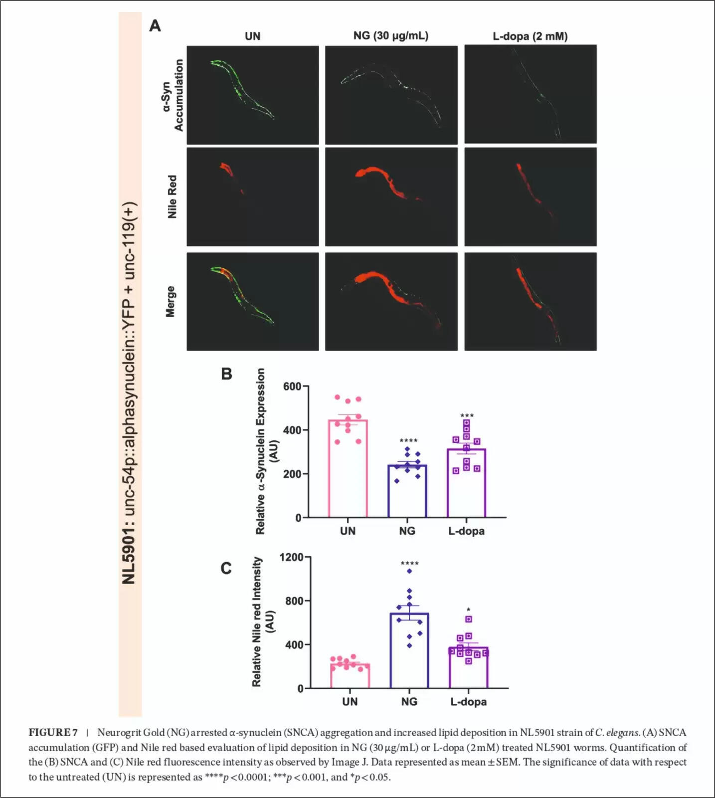 Patanjali's Neurogrit Gold: A Breakthrough in Parkinson's Research