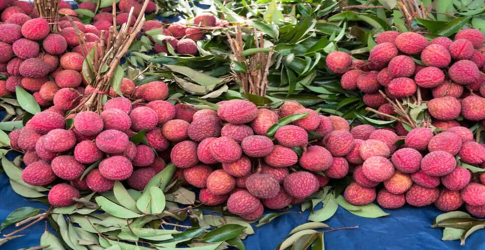 How to Identify Organic Litchis: Tips for Summer Fruit Lovers