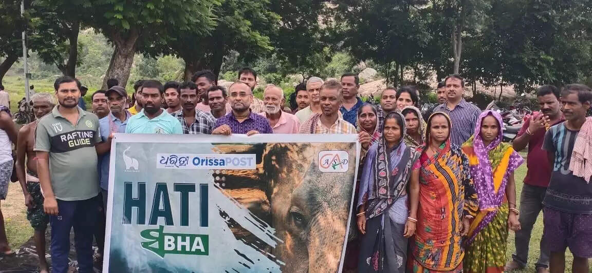 What’s Behind Odisha's New Initiative to Tackle Human-Elephant Conflicts?