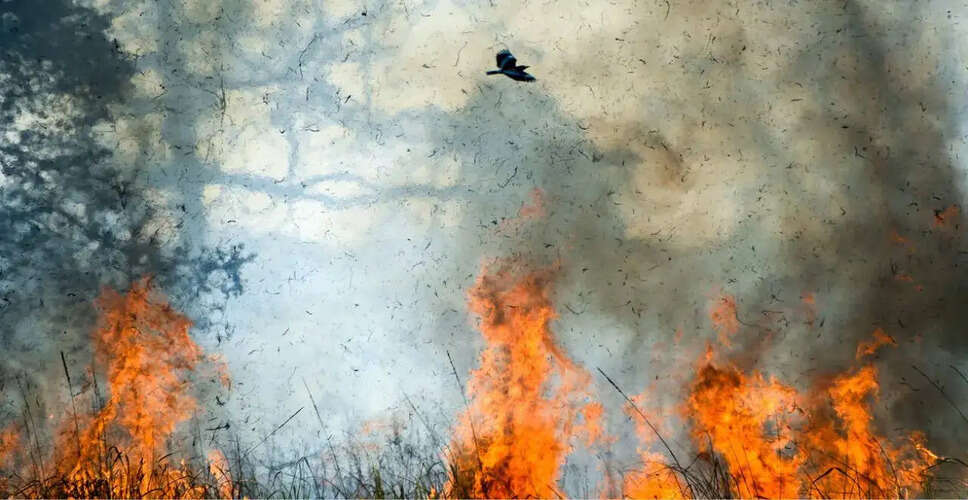 Massive Blaze Erupts at Camden Westwood Apartments in Morrisville