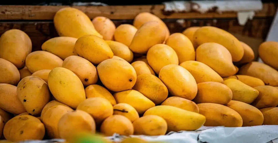 Delicious Homemade Dried Mango: A Year-Round Treat