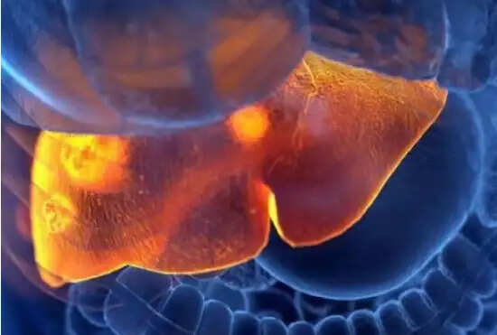 Understanding Hepatitis B and C: Silent Threats to Liver Health