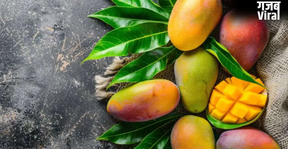 Traditional Methods of Ripening Mangoes: A Look Back