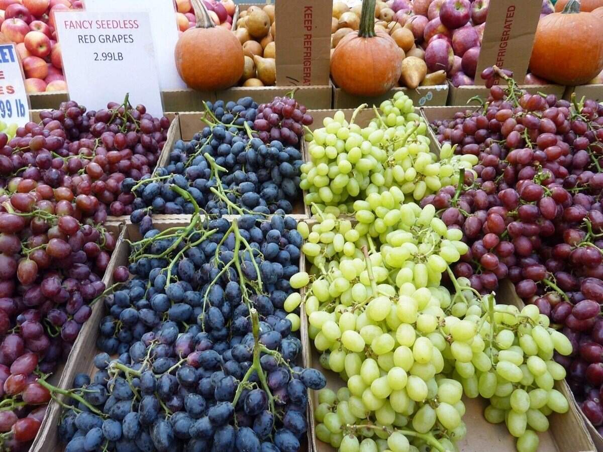 Consumer Alert: The Hidden Dangers of Grapes