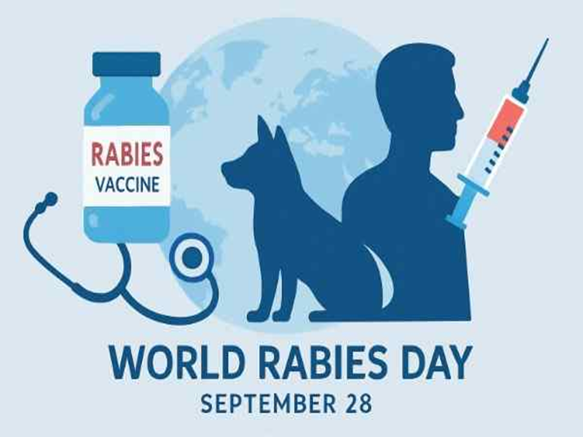 Understanding Risk Graphics Rabies Risks and Prevention: Insights for World Rabies Day