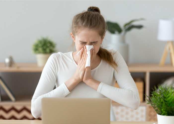Allergies Got You Down? Uncover These Hidden Allergens in Your Home