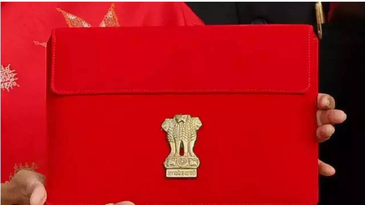 Budget 2024 Expectations: MSMEs Demand Special Package for Growth