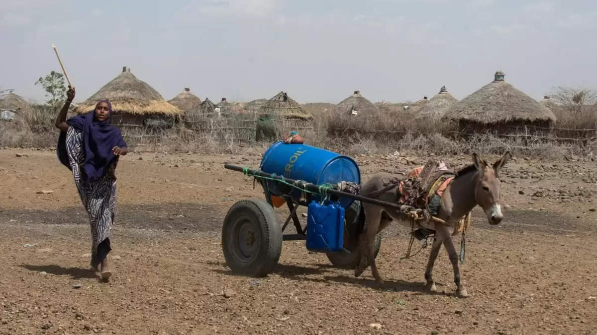 36.1 million people affected by severe drought in the Horn of Africa