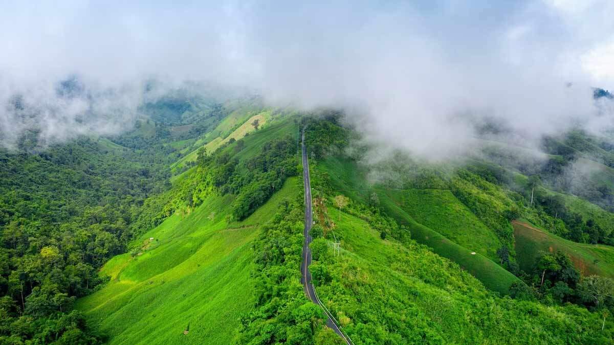 Escape to the Mountains: 3 South Indian Hill Stations for an Unforgettable New Year's Eve 2024