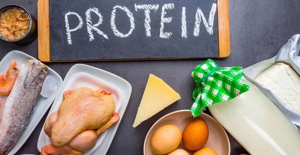 Lean Proteins 101: How They Can Transform Your Weight Loss Journey