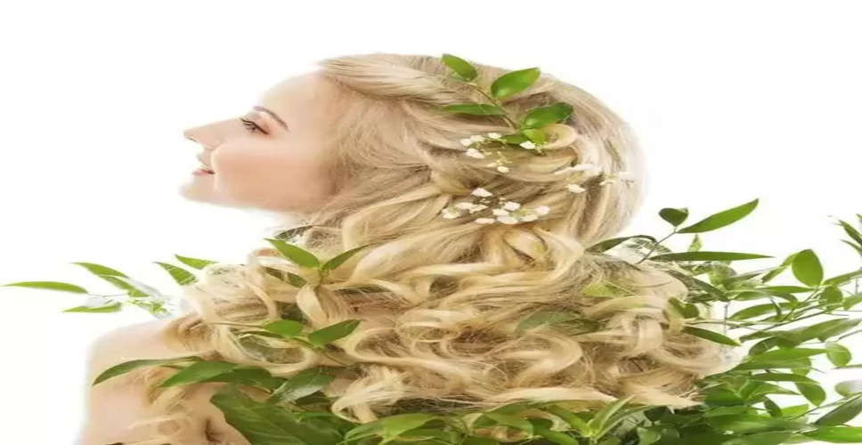 "Herbal Hair Therapy: 20 Powerful Herbs to Restore Hair Growth and Thickness"