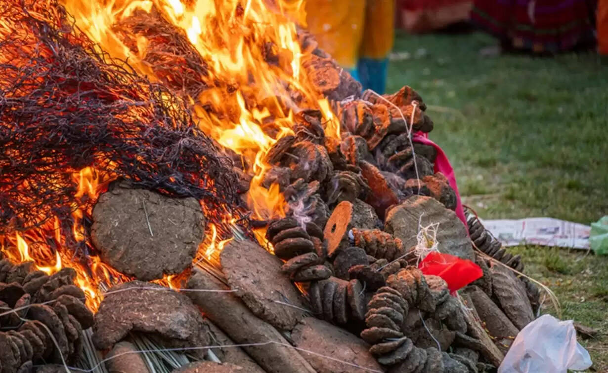 Holika Dahan 2024: Simple Remedies to Ensure Happiness and Prosperity Follow You Everywhere