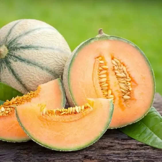 Seed Power Unleashed: Discover the Amazing Advantages of Muskmelon Seeds