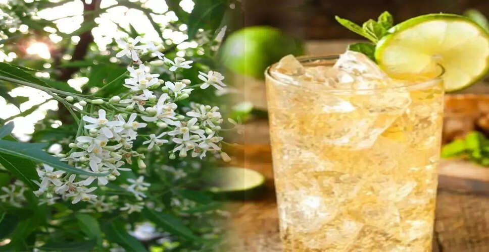 Discover the Refreshing and Nutritious Neem Flower Sherbet Recipe and