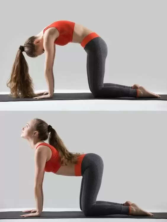 Stretch Away the Pain: Cat-Cow Pose for a Strong and Healthy Back