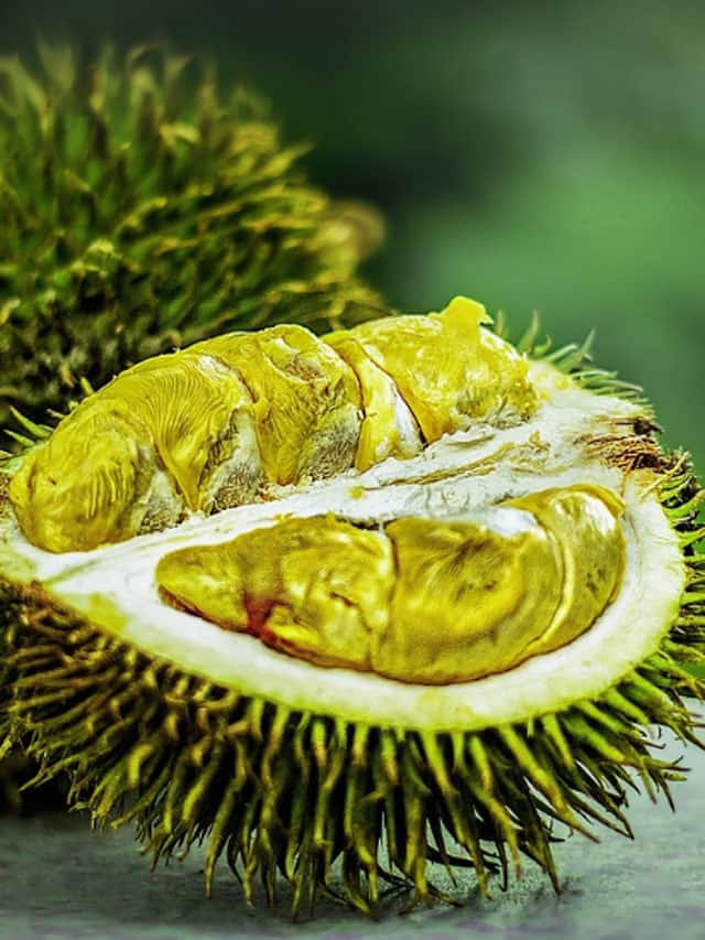 Worlds most Smelliest foods